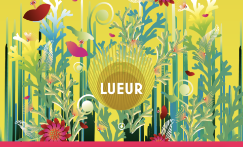 Image Not Found On Media Library