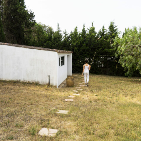 Image Not Found On Media Library