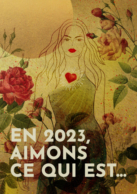 Image Not Found On Media Library