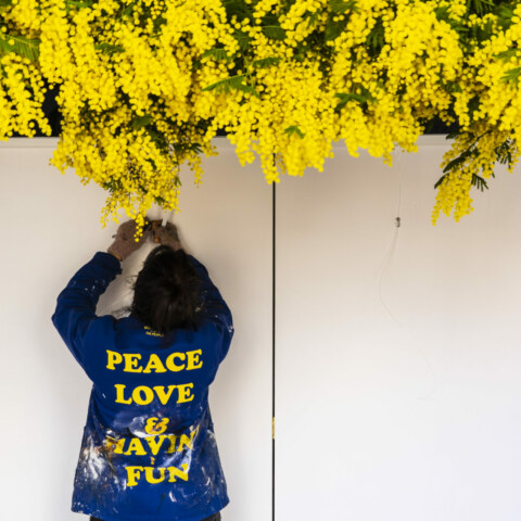 Image Not Found On Media Library