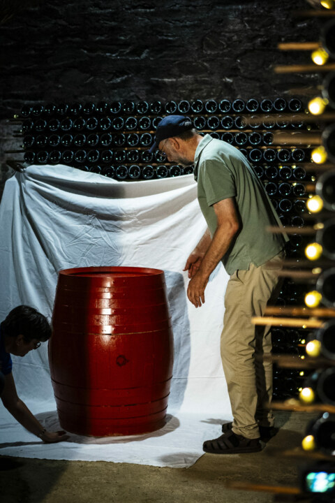 Image Not Found On Media Library