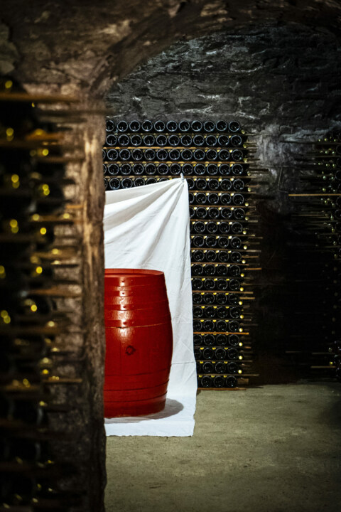 Image Not Found On Media Library