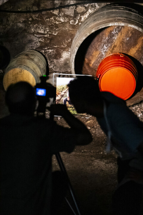 Image Not Found On Media Library