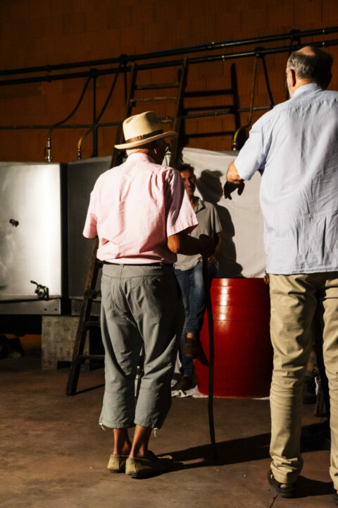 Image Not Found On Media Library