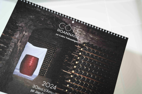 Image Not Found On Media Library