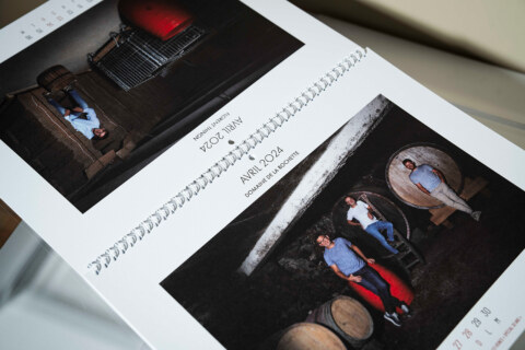 Image Not Found On Media Library