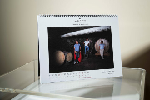 Image Not Found On Media Library