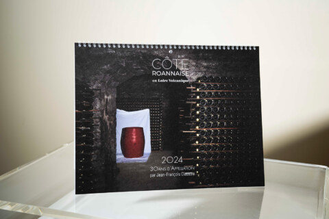 Image Not Found On Media Library