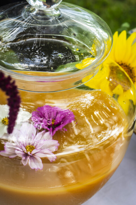 Image Not Found On Media Library