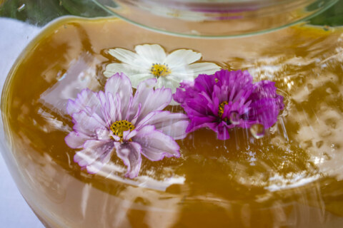 Image Not Found On Media Library