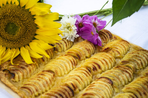 Image Not Found On Media Library