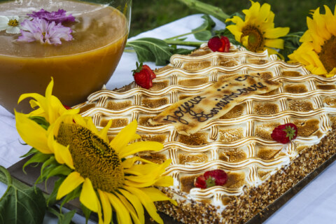 Image Not Found On Media Library