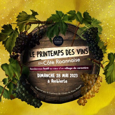 Image Not Found On Media Library