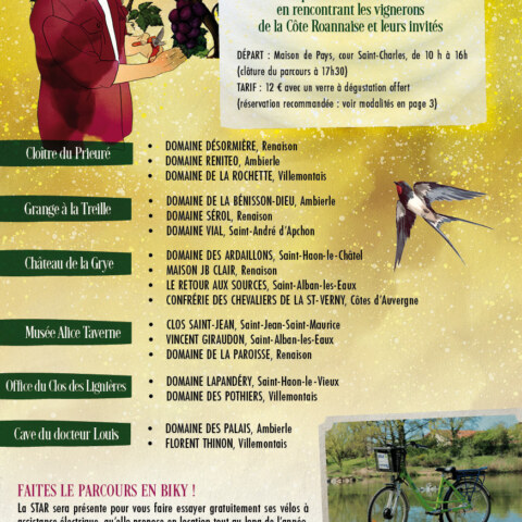 Image Not Found On Media Library