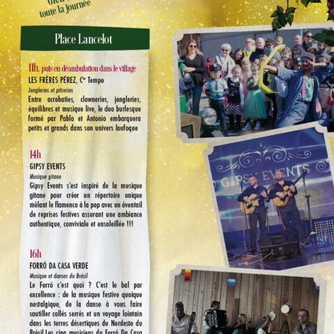 Image Not Found On Media Library