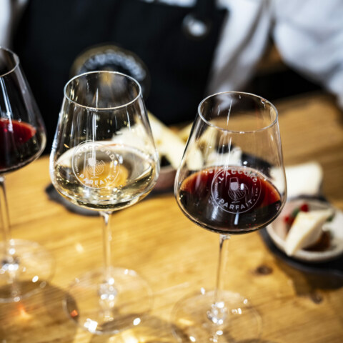 Image Not Found On Media Library