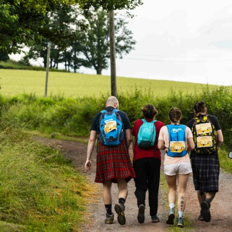 Image Not Found On Media Library