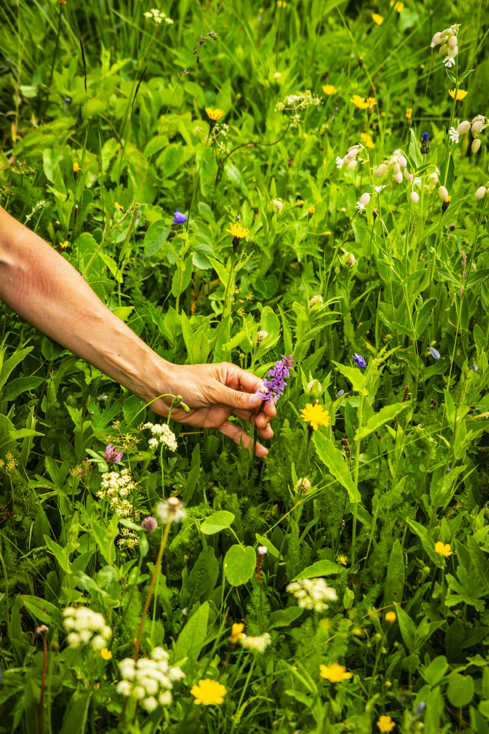 veolia-karellis-2023_99