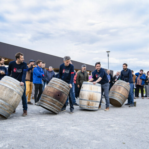 Image Not Found On Media Library