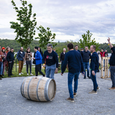 Image Not Found On Media Library