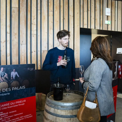 Image Not Found On Media Library