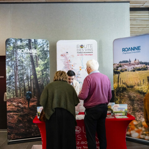 Image Not Found On Media Library