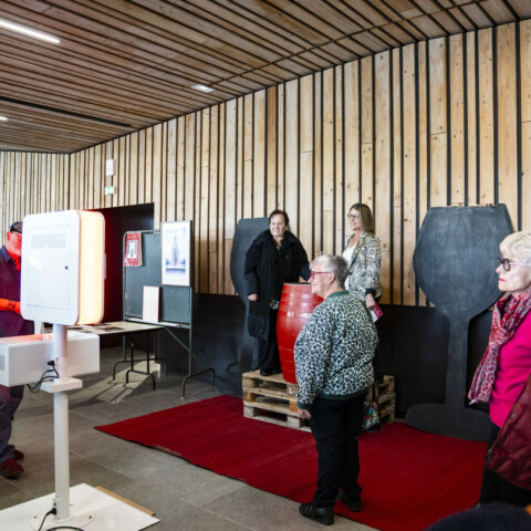 Image Not Found On Media Library