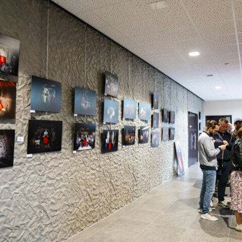 Image Not Found On Media Library