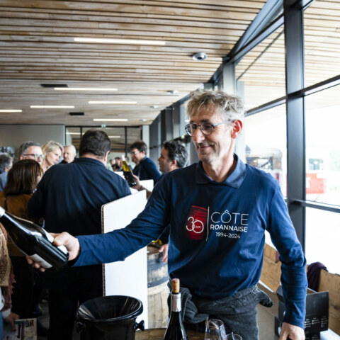 Image Not Found On Media Library