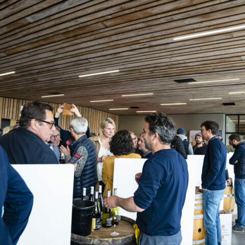 Image Not Found On Media Library