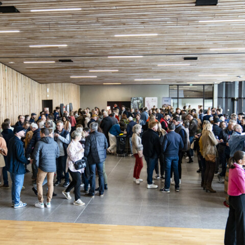 Image Not Found On Media Library