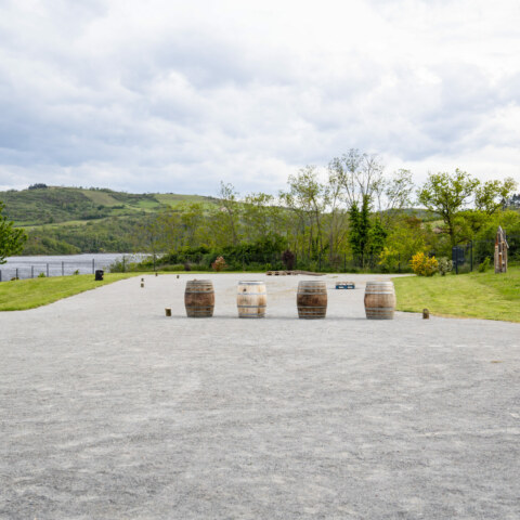 Image Not Found On Media Library