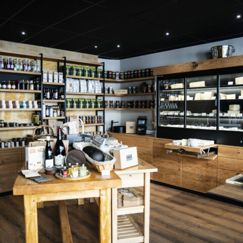 Image Not Found On Media Library