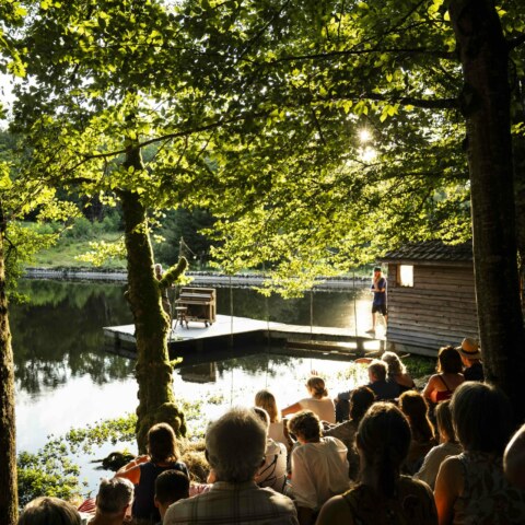 Image Not Found On Media Library