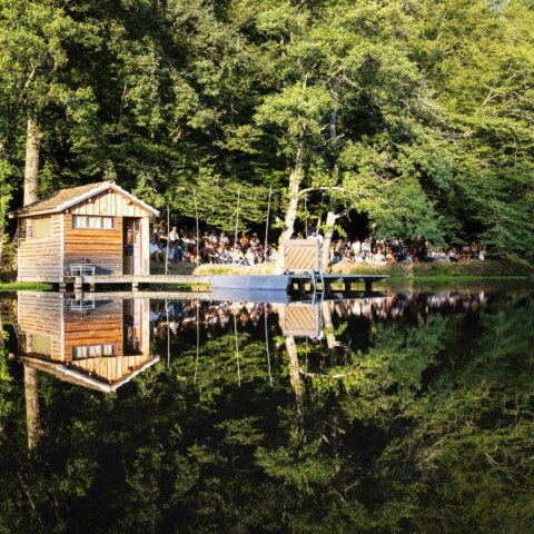 Image Not Found On Media Library