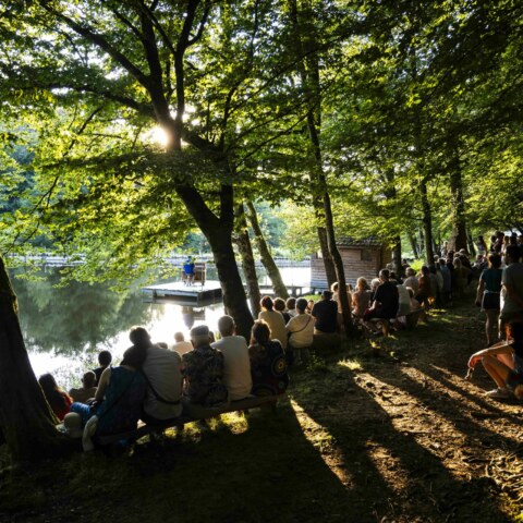 Image Not Found On Media Library