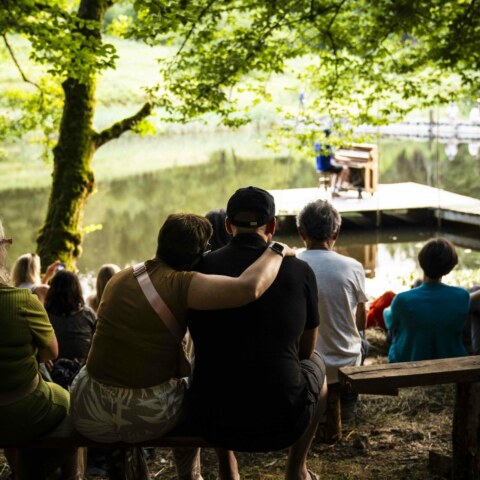 Image Not Found On Media Library