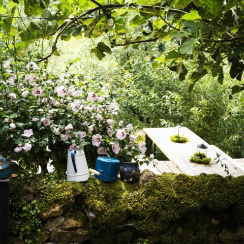 Image Not Found On Media Library