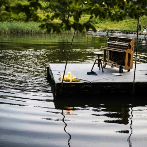 Image Not Found On Media Library