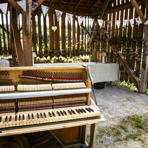 Image Not Found On Media Library