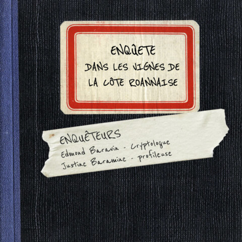 Image Not Found On Media Library