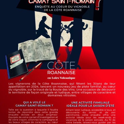 Image Not Found On Media Library