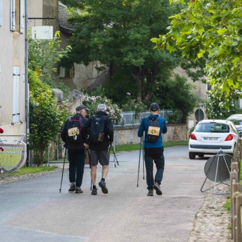 Image Not Found On Media Library