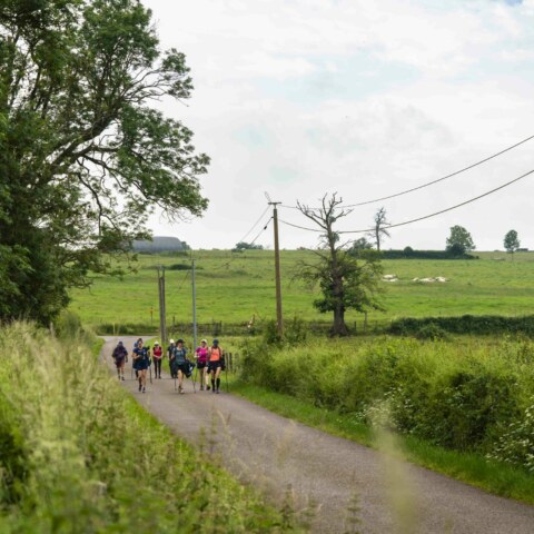 Image Not Found On Media Library