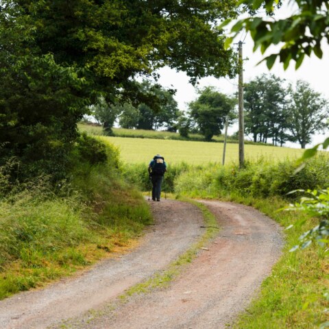 Image Not Found On Media Library