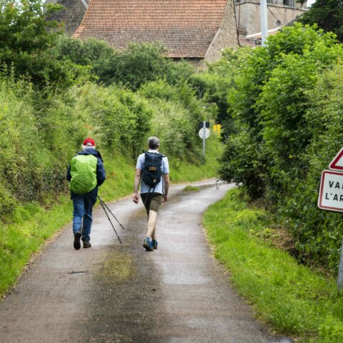 Image Not Found On Media Library