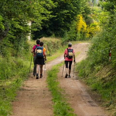 Image Not Found On Media Library