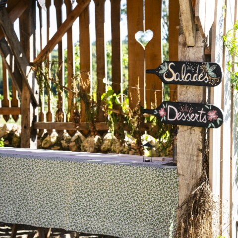 Image Not Found On Media Library