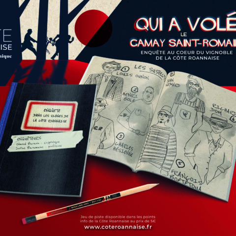 Image Not Found On Media Library