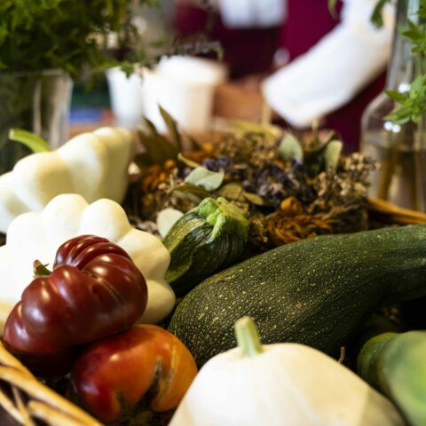 Image Not Found On Media Library